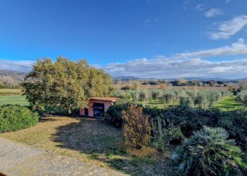 Podere Loretta-20.jpg - Villa Pian dei bichi, Roccastrada - foto 19