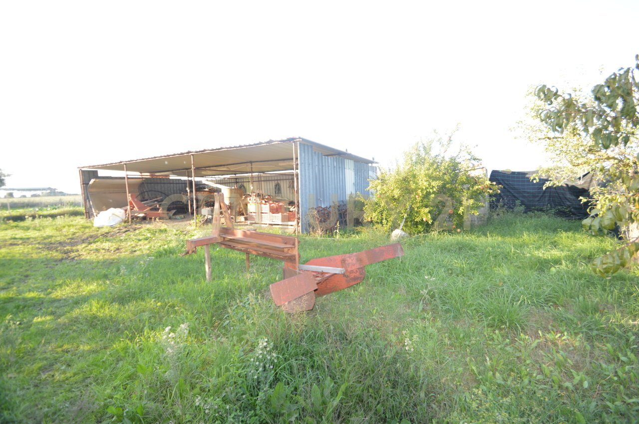 DSC_0087.JPG - Agricultural land Strada del Querciolo 125, Grosseto - photo 2