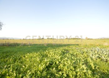 DSC_0096.JPG - Terreno agricolo Strada del Querciolo 125, Grosseto - foto 5