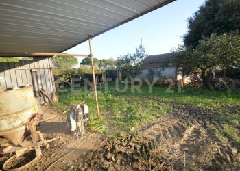 DSC_0119.JPG - Terreno agricolo Strada del Querciolo 125, Grosseto - foto 29