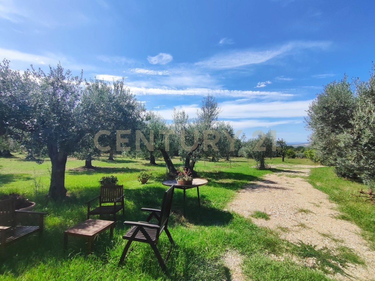 IMG_20250829_145021.jpg - Casale località filare, Gavorrano - foto 3