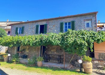 IMG_20250829_145033.jpg - Casale località filare, Gavorrano - foto 2