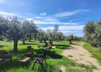 IMG_20250829_145021.jpg - Casale località filare, Gavorrano - foto 3