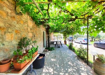 IMG_20250829_144958.jpg - Casale località filare, Gavorrano - foto 5