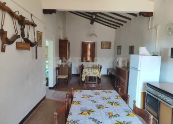 IMG_20250829_144717.jpg - Casale località filare, Gavorrano - foto 8