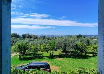 IMG_20250829_144433.jpg - Casale località filare, Gavorrano - foto 13