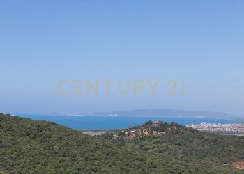 quaini-17.jpg - Four-room apartment Via delle Fornaci snc, Scarlino - photo 17