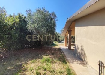 IMG_20250705_101738.jpg - Casa indipendente Via san martino snc, Castiglione della Pescaia - foto 4