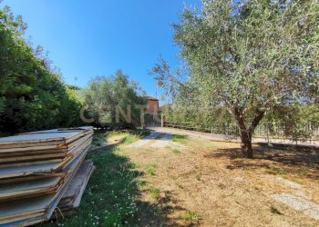 IMG_20250705_101437.jpg - Casa indipendente Via san martino snc, Castiglione della Pescaia - foto 7