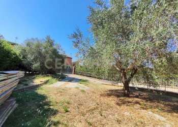 IMG_20250705_101753.jpg - Casa indipendente Via san martino snc, Castiglione della Pescaia - foto 8