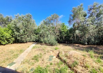 IMG_20250705_101728.jpg - Casa indipendente Via san martino snc, Castiglione della Pescaia - foto 9