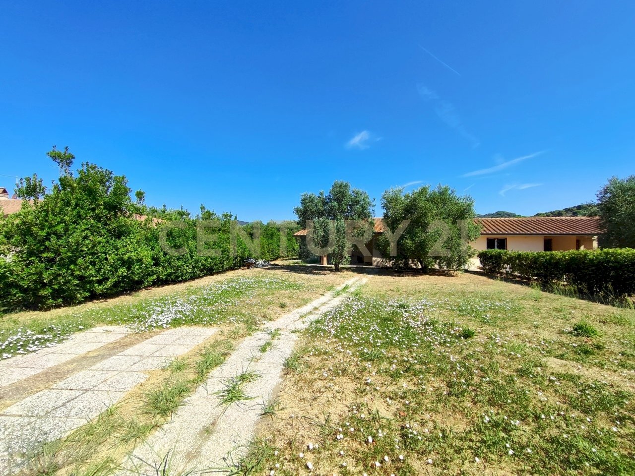 IMG_20250705_101346.jpg - Casa indipendente Via san martino  snc, Castiglione della Pescaia - foto 3