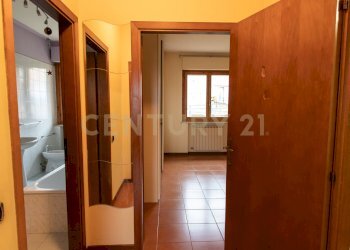 IMG_0419.JPG - Appartamento Via A. Vignali 16, Siena - foto 22