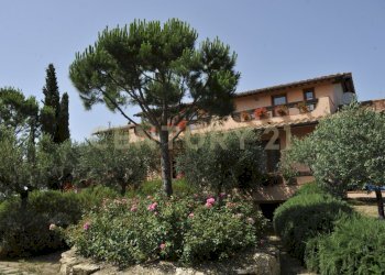 villa1.JPG - Villa Strada di Monte Bottigli, Grosseto - foto 10