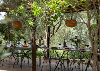 Monte Bottigli esterni 2.jpg - Villa Strada di Monte Bottigli, Grosseto - foto 30