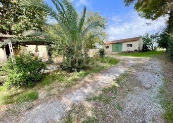 IMG_1153.jpg - Casale località quarto albegna snc, Manciano - foto 4