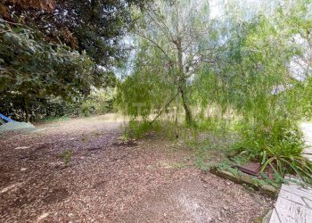 IMG_0842.jpg - Casale località quarto albegna snc, Manciano - foto 5