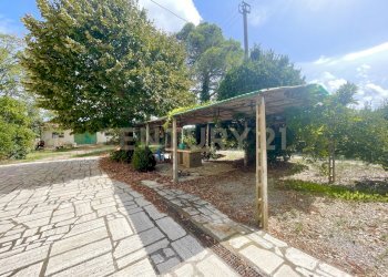 IMG_1167.jpg - Casale località quarto albegna snc, Manciano - foto 15