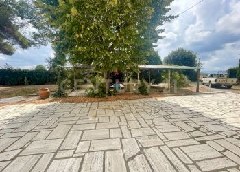 IMG_0833.jpg - Casale località quarto albegna snc, Manciano - foto 16