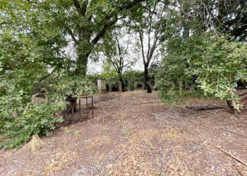 IMG_0839.jpg - Casale località quarto albegna snc, Manciano - foto 18