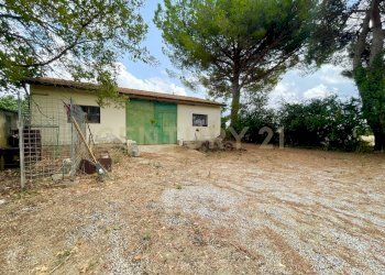 IMG_0840.jpg - Casale località quarto albegna snc, Manciano - foto 19