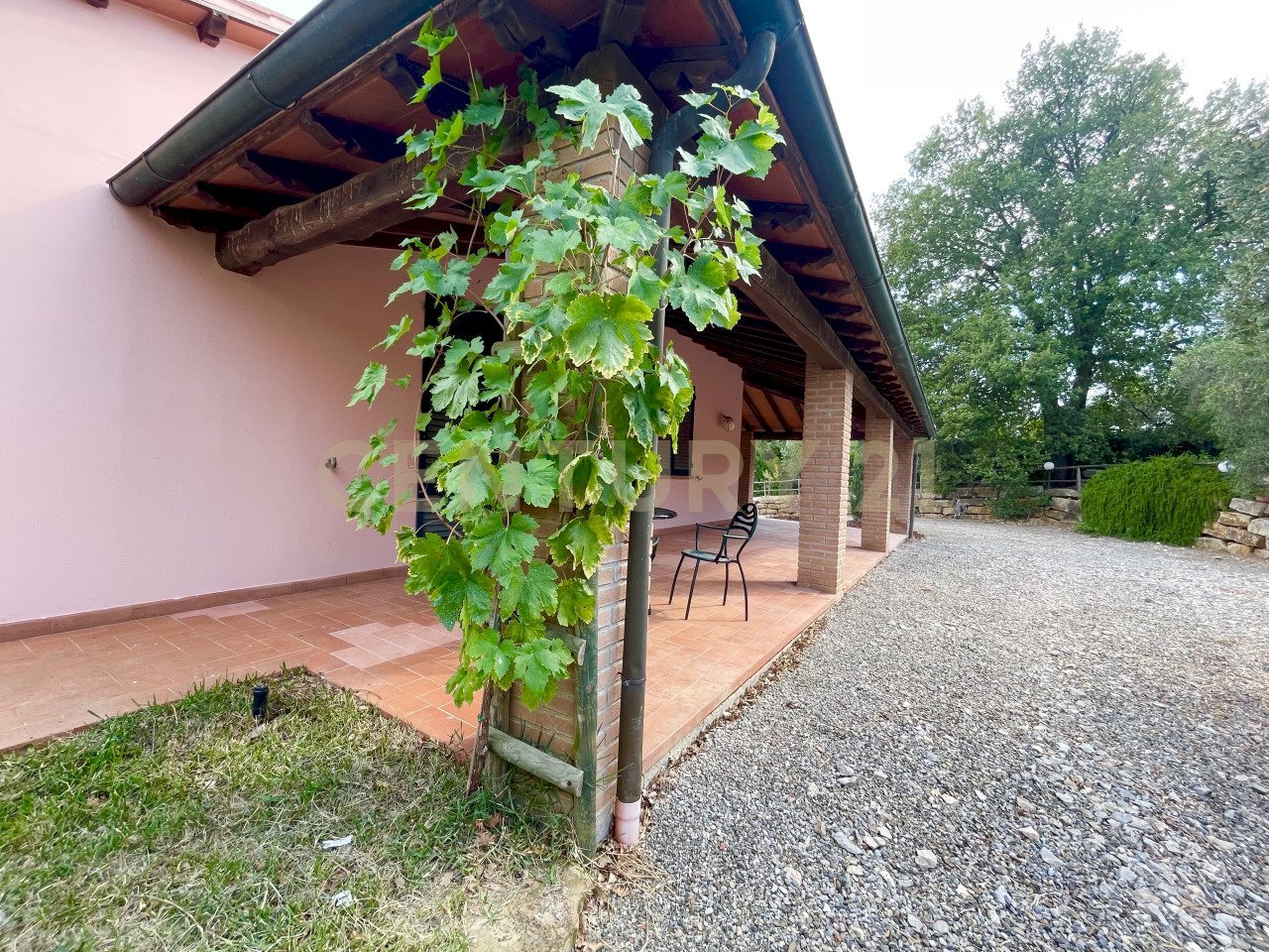 IMG_0582.jpg - Farm località colle di lupo, Magliano in Toscana - photo 3