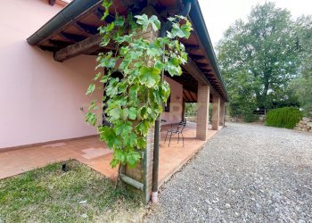 IMG_0582.jpg - Farm località colle di lupo, Magliano in Toscana - photo 3