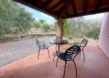 IMG_0574.jpg - Farm località colle di lupo, Magliano in Toscana - photo 4