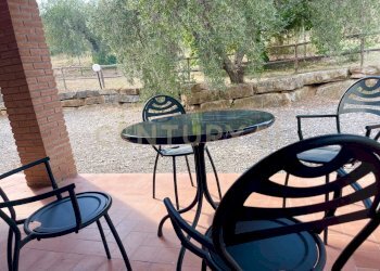 IMG_0553.jpg - Farm località colle di lupo, Magliano in Toscana - photo 5