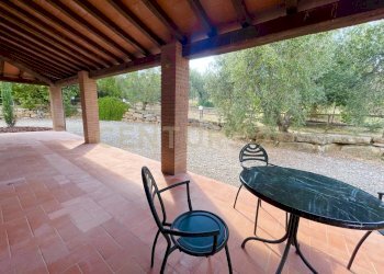 IMG_0554.jpg - Farm località colle di lupo, Magliano in Toscana - photo 6