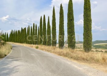 IMG_0590.jpg - Farm località colle di lupo, Magliano in Toscana - photo 7