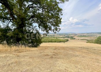 IMG_0589.jpg - Farm località colle di lupo, Magliano in Toscana - photo 8