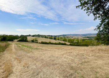 IMG_0587.jpg - Farm località colle di lupo, Magliano in Toscana - photo 9