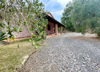 IMG_0581.jpg - Farm località colle di lupo, Magliano in Toscana - photo 11