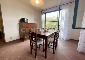 IMG_0558.jpg - Farm località colle di lupo, Magliano in Toscana - photo 13