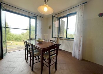 IMG_0557.jpg - Farm località colle di lupo, Magliano in Toscana - photo 14