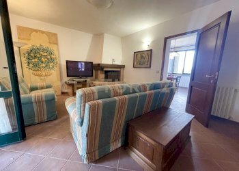 IMG_0551.jpg - Farm località colle di lupo, Magliano in Toscana - photo 16