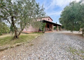 IMG_0576.jpg - Farm località colle di lupo, Magliano in Toscana - photo 20