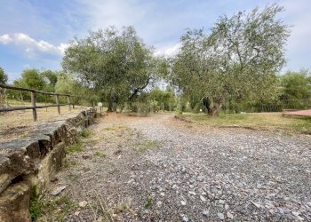IMG_0575.jpg - Farm località colle di lupo, Magliano in Toscana - photo 21