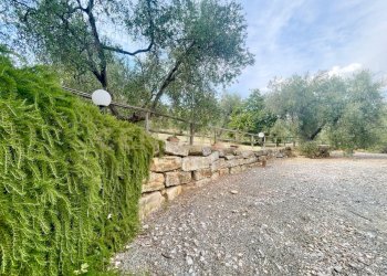 IMG_0566.jpg - Farm località colle di lupo, Magliano in Toscana - photo 24