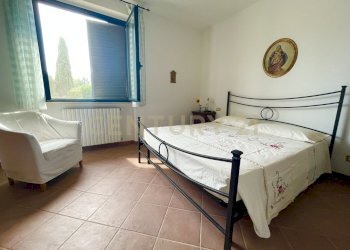 IMG_0547.jpg - Farm località colle di lupo, Magliano in Toscana - photo 30