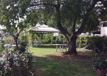 Giardino.jpg - Casale Strada Pedemontana snc, Capalbio - foto 5