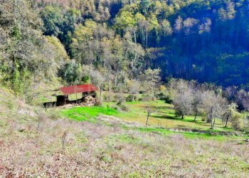 Tettoia ricovero animali - Rustico Via Di Gromignana 80, Coreglia Antelminelli - foto 15