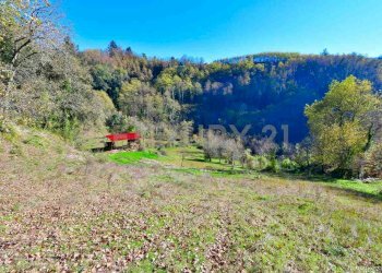 Tettoia ricovero animaili - Rustico Via Di Gromignana 80, Coreglia Antelminelli - foto 16