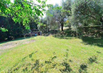 giardino - Casale Frazione Colognora snc, Pescaglia - foto 10