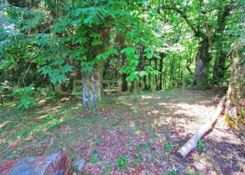 giardino - Casale Frazione Colognora snc, Pescaglia - foto 26