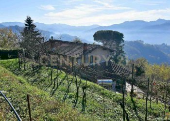 Villa Padronale vigneto - Rustico Via di Gromignana 80, Coreglia Antelminelli - foto 18