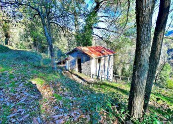 Futuro villino - Rustico Via di Gromignana 80, Coreglia Antelminelli - foto 21