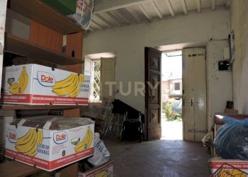 DSCN4321.JPG - Rustic Via delle Pianacce 45, Capannori - photo 6