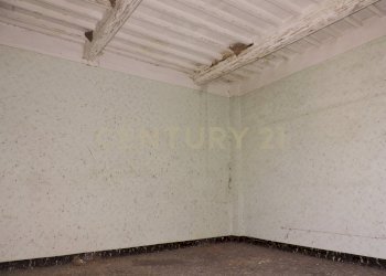 DSCN4329.JPG - Rustic Via delle Pianacce 45, Capannori - photo 9